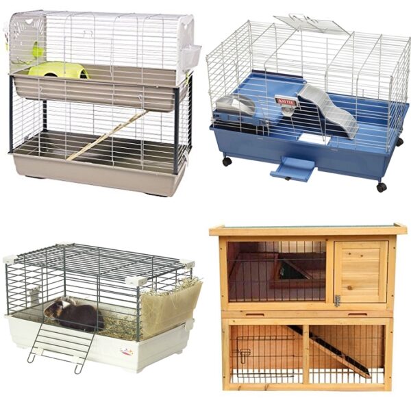 Guinea Pigs Cage Set Up & Gizmo & Co
