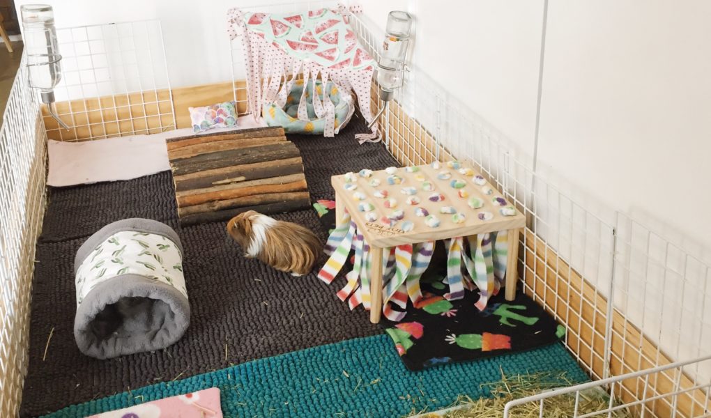 handmade guinea pig cages