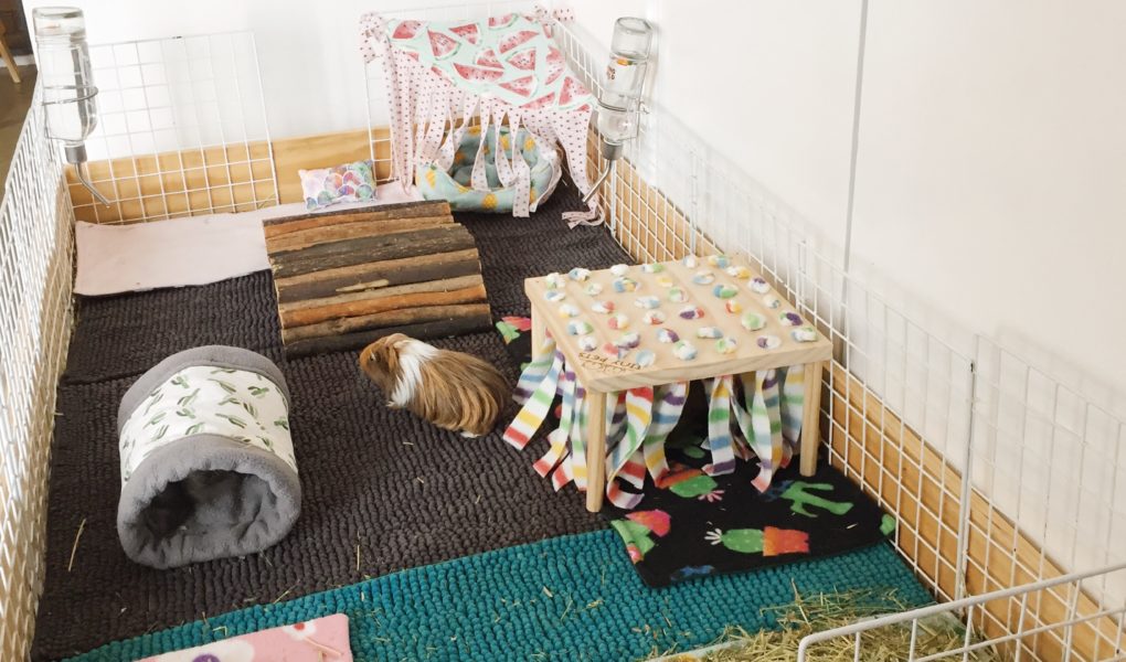 Olive and Ziggys guinea pig cage is handmade from plywood and a large wooden base. On the inside of the cage are three bath mats as liners, a wooden tunnel, a wooden hidey hut, some fleece cosy items and two large piles of hay and two water bottles.