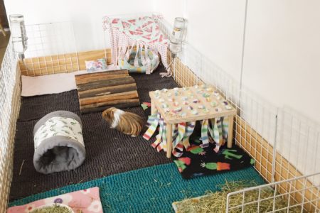 Olive and Ziggys guinea pig cage is handmade from plywood and a large wooden base. On the inside of the cage are three bath mats as liners, a wooden tunnel, a wooden hidey hut, some fleece cosy items and two large piles of hay and two water bottles.