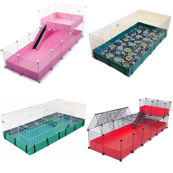 Guinea Pigs Cage Set Up & Gizmo & Co