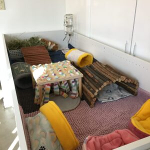 A Guinea pig cage made out of an IKEA book shelf, there is a variety of fleece goodies in the cage.